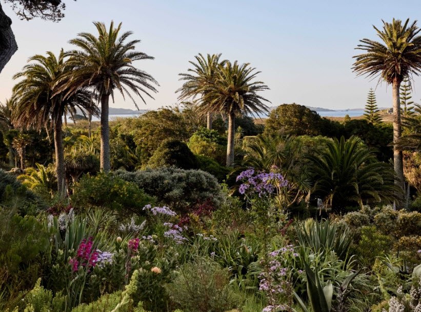 Tresco Abbey Gardens, United Kingdom